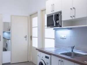 Pronájem bytu 2+1, Praha - Žižkov, Krásova, 56 m2