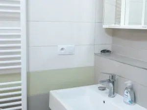 Pronájem bytu 2+1, Praha - Žižkov, Krásova, 56 m2