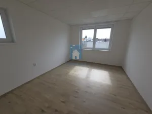 Pronájem bytu 2+kk, Plzeň, Tisová, 67 m2