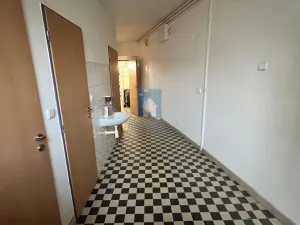 Pronájem obchodního prostoru, Domažlice, Husova třída, 285 m2