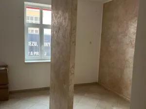 Pronájem obchodního prostoru, Plzeň, 45 m2