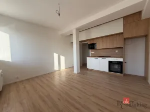 Pronájem bytu 1+kk, Opava - Kateřinky, Rolnická, 27 m2