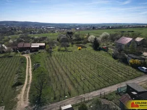 Prodej pozemku pro bydlení, Nový Šaldorf-Sedlešovice, 3428 m2