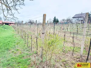 Prodej pozemku pro bydlení, Nový Šaldorf-Sedlešovice, 3428 m2