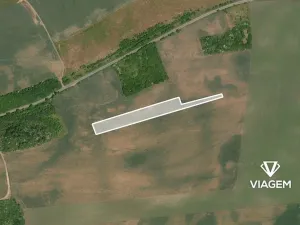 Prodej pole, Veliká Ves, 6334 m2