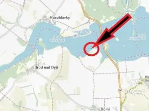 Prodej podílu rybníku, Pasohlávky, 6466 m2