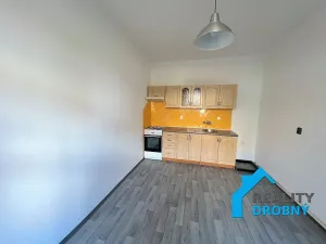 Pronájem bytu 1+1, Děčín, Škroupova, 44 m2