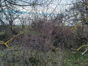 Prodej chaty, Strachotice, 36 m2