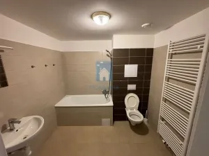 Pronájem bytu 1+kk, Plzeň, Rejskova, 54 m2