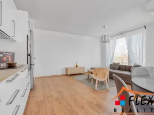 Pronájem bytu 2+kk, Ostrava, F. X. Riepla, 68 m2