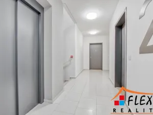 Pronájem bytu 2+kk, Ostrava, F. X. Riepla, 68 m2