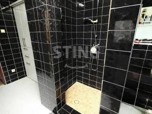 Prodej rodinného domu, Petrovice u Karviné, 337 m2