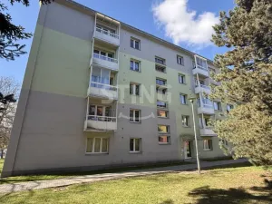 Prodej bytu 3+1, Bruntál, Pionýrská, 65 m2