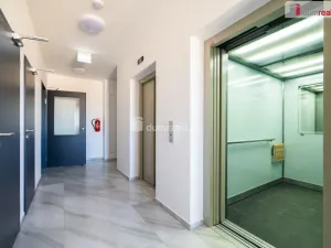 Pronájem bytu 2+kk, České Budějovice - České Budějovice 2, U Boru, 77 m2