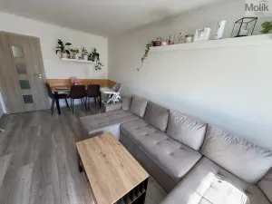 Prodej bytu 3+1, Most, Františka Malíka, 70 m2