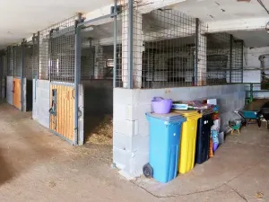 Prodej zemědělského objektu, Stráž - Bonětičky, 1530 m2