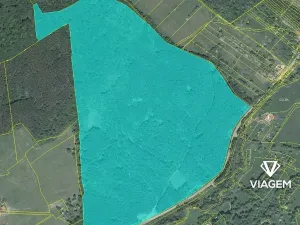Prodej podílu lesa, Bánov, 76973 m2