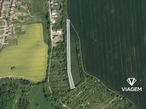 Prodej pole, Bílovice, 7022 m2