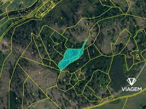 Prodej podílu lesa, Petráveč, 609 m2