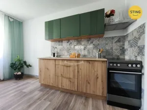 Prodej bytu 1+1, Jihlava, Wolkerova, 29 m2