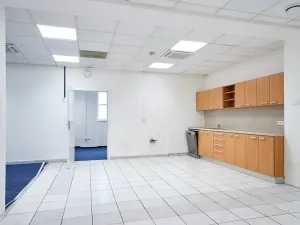 Pronájem kanceláře, Brno, Masarykova, 505 m2