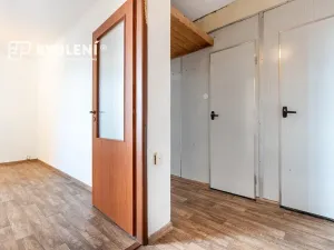 Prodej bytu 2+1, Teplice, Alejní, 53 m2