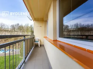 Prodej bytu 2+1, Teplice, Alejní, 53 m2