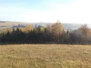 Prodej pozemku, Budišov nad Budišovkou, 60778 m2