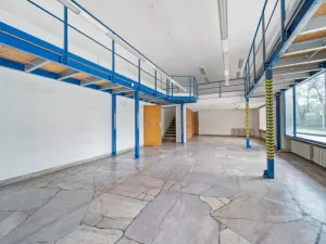 Prodej obchodního prostoru, Brno - Zábrdovice, Koliště, 345 m2