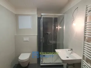 Prodej bytu 2+kk, Vrchlabí, Labská, 45 m2