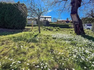 Prodej chaty, Vysoké Mýto, Vinice, 17 m2