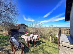 Prodej chaty, Vysoké Mýto, Vinice, 17 m2