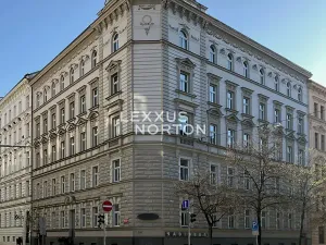 Prodej bytu 2+kk, Praha - Nové Město, Wenzigova, 41 m2