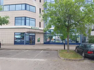 Pronájem obchodního prostoru, Brno, Heršpická, 300 m2