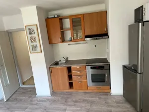 Pronájem bytu 1+kk, Velké Hamry, 42 m2