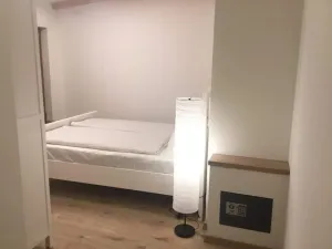 Prodej chalupy, Kryštofovy Hamry, 81 m2