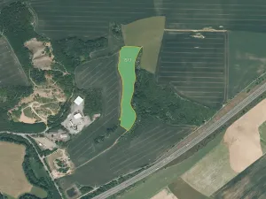 Prodej louky, Starý Plzenec, 25956 m2