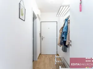 Pronájem bytu 1+kk, Olomouc, Eduarda Hamburgera, 33 m2