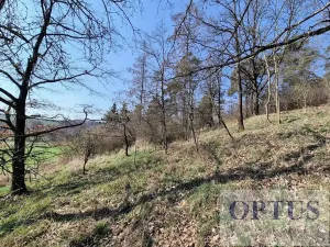 Prodej pozemku pro bydlení, Neveklov, 3385 m2