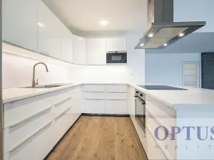 Pronájem bytu 6+kk a větší, Praha - Staré Město, Dušní, 218 m2