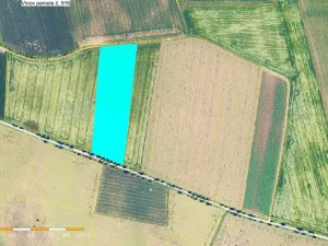 Prodej podílu pole, Vícov, 4344 m2