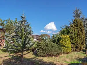 Prodej pozemku pro bydlení, Spálené Poříčí, 4447 m2