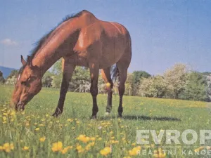 Prodej pole, Hradec Králové, 6364 m2