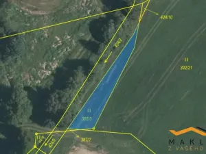 Prodej louky, Horní Radouň - Starý Bozděchov, 16013 m2