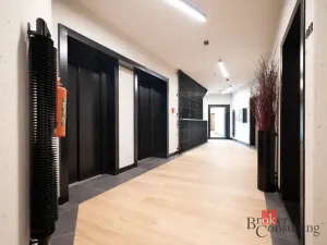 Pronájem bytu 1+kk, Praha - Vršovice, Krymská, 25 m2