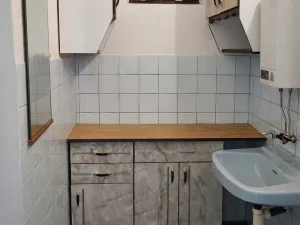 Prodej obchodního prostoru, Bošice, 135 m2