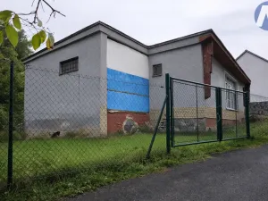 Prodej obchodního prostoru, Bošice, 99 m2
