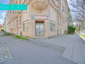 Prodej obchodního prostoru, Olomouc - Nová Ulice, Resslova, 38 m2