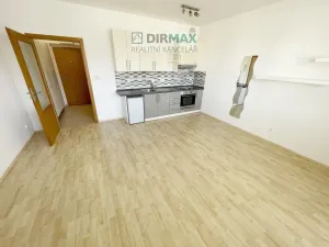 Pronájem bytu 1+kk, Plzeň - Jižní Předměstí, Goldscheiderova, 39 m2