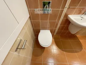 Pronájem bytu 1+kk, Plzeň - Jižní Předměstí, Goldscheiderova, 39 m2